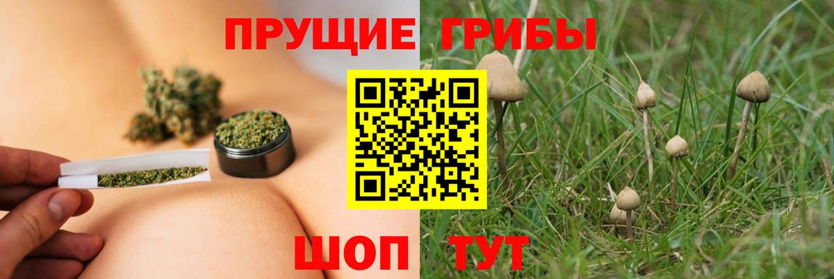 Галлюциногенные грибы Cubensis Дербент
